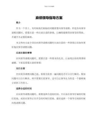 麻烦领导指导方案