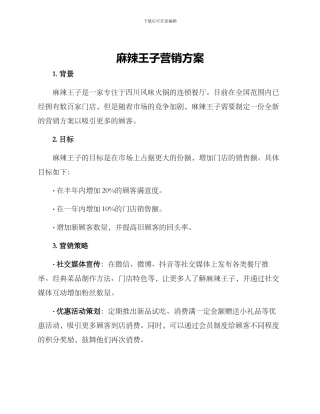 麻辣王子营销方案