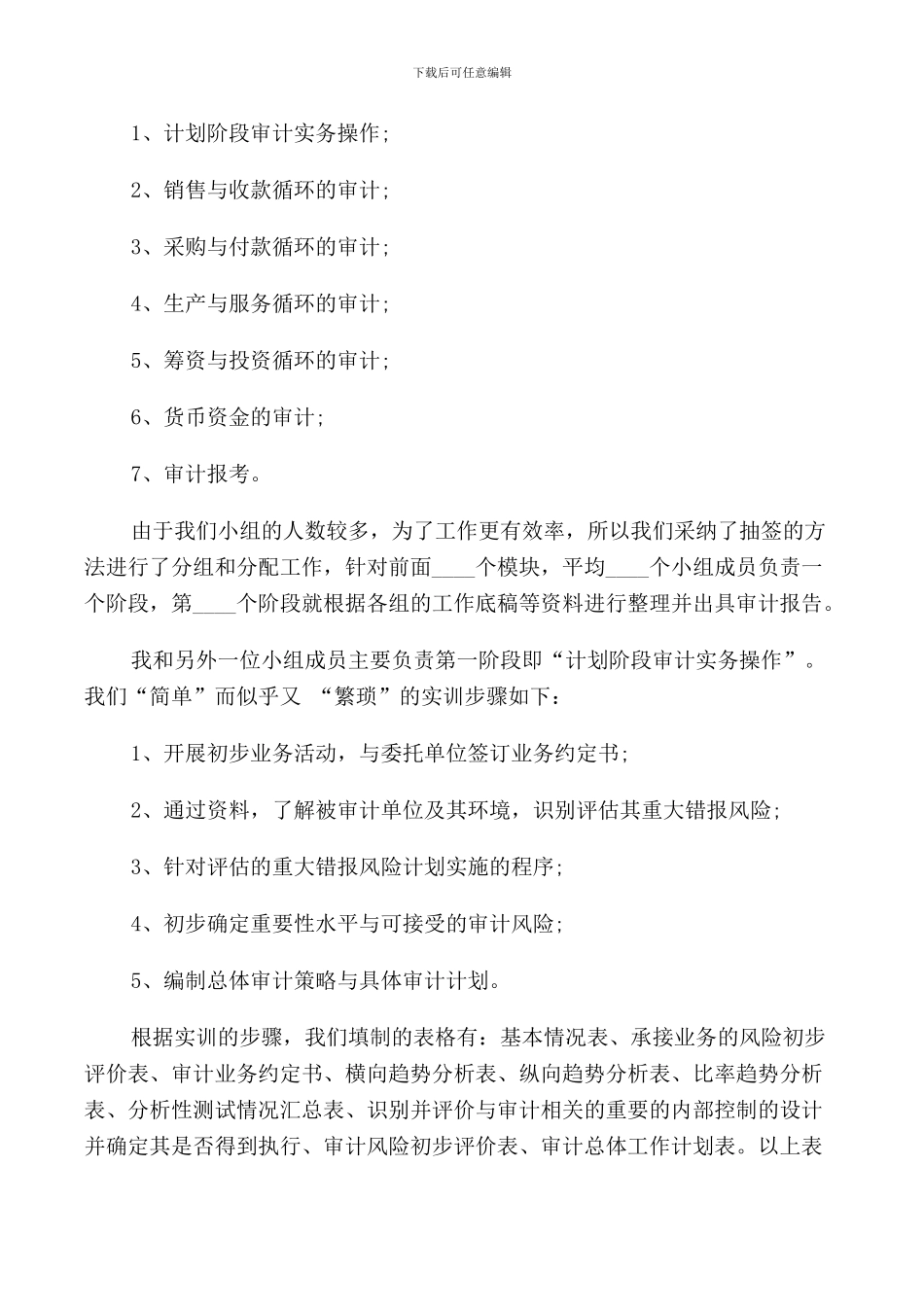 2024审计实习报告范文_第2页