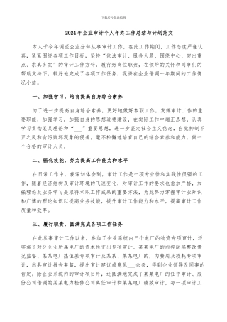 2024年企业审计个人年终工作总结与计划范文