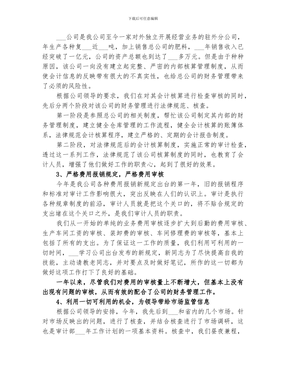 2024年企业审计年终总结精选范文_第2页