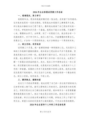 2024年企业客服试用期工作总结
