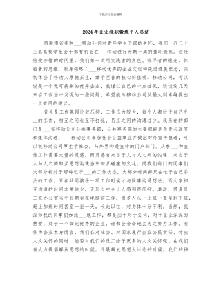 2024年企业挂职锻炼个人总结