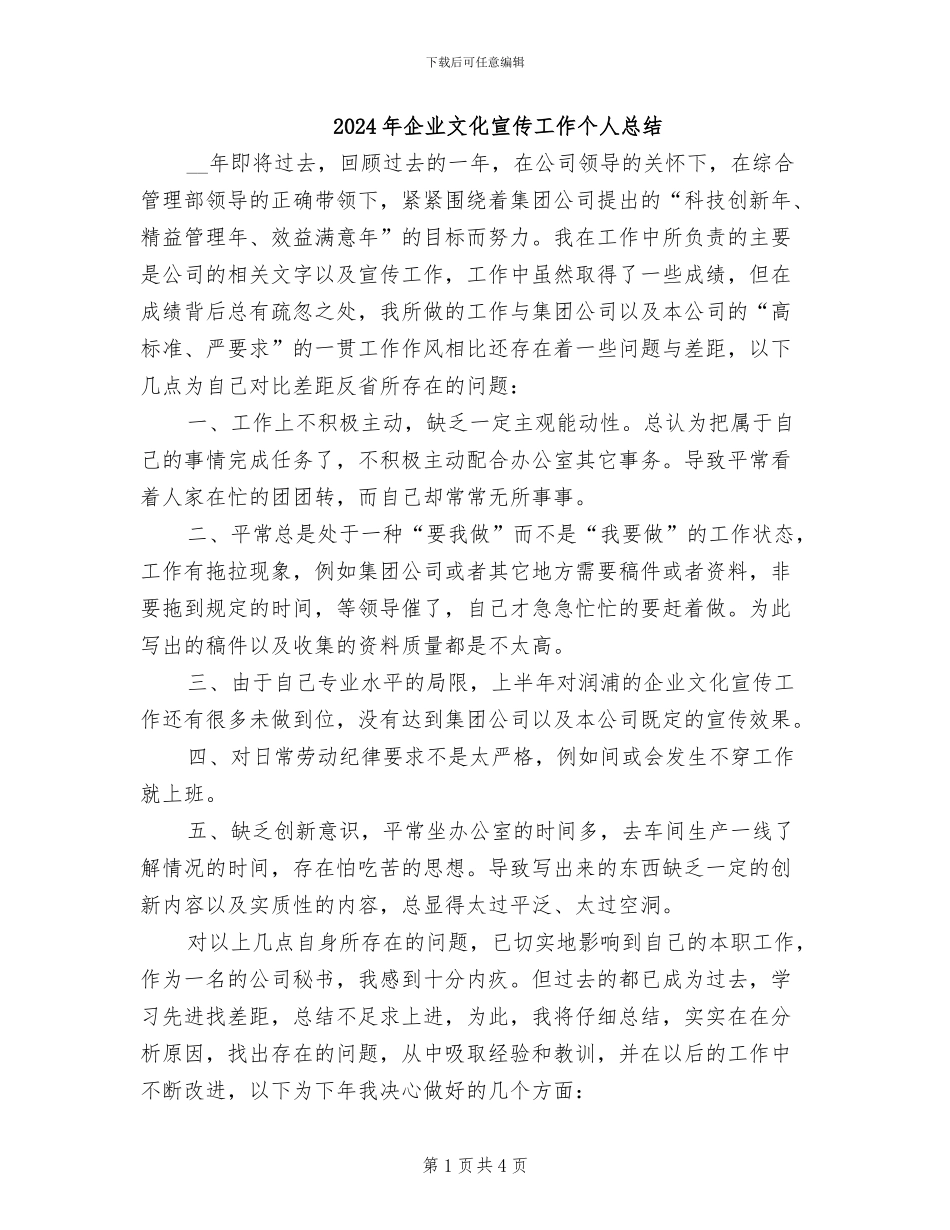 2024年企业文化宣传工作个人总结_第1页