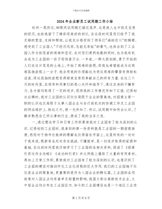 2024年企业新员工试用期工作小结