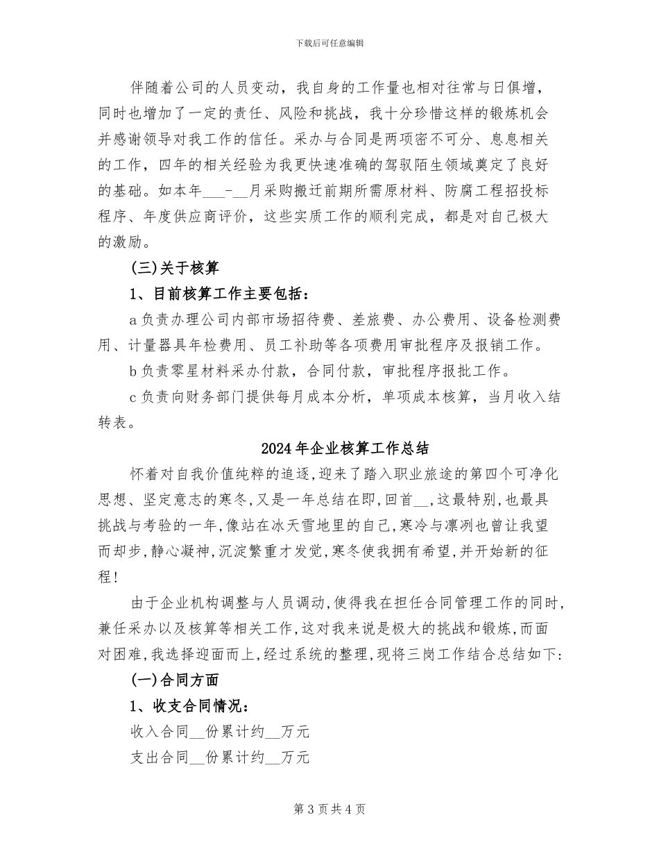 2024年企业核算个人年终总结_第3页