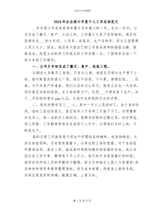 2024年企业统计年度个人工作总结范文