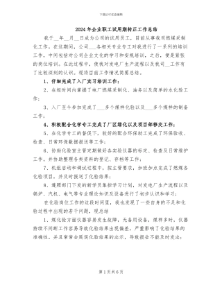2024年企业职工试用期转正工作总结