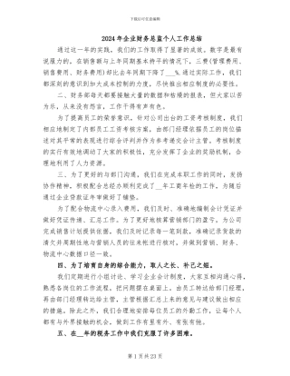 2024年企业财务总监个人工作总结