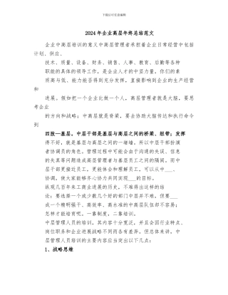 2024年企业高层年终总结范文