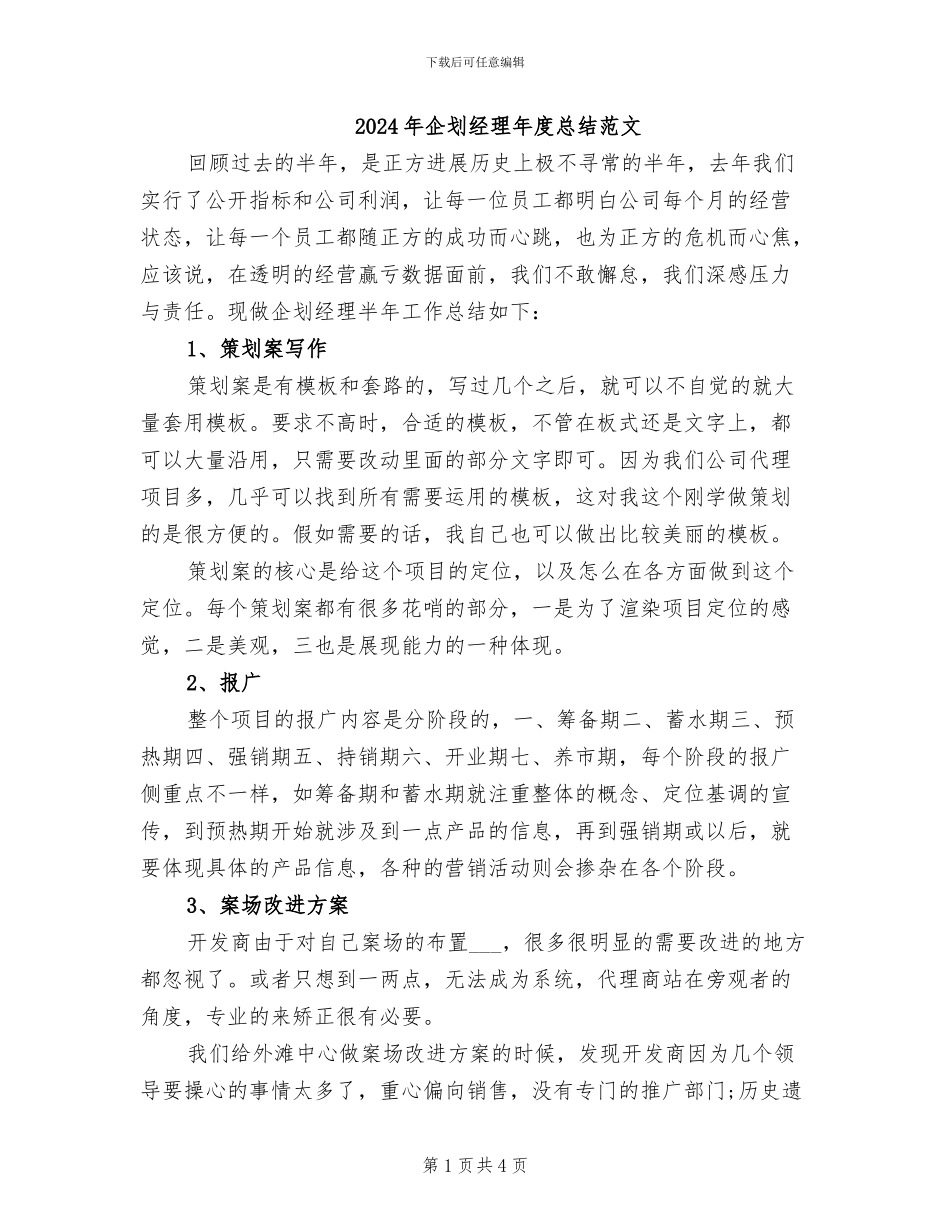 2024年企划经理年度总结范文_第1页
