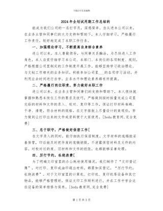 2024年企划试用期工作总结的