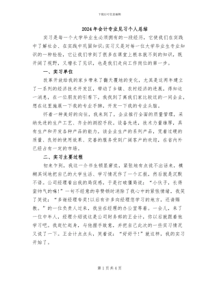 2024年会计专业见习个人总结
