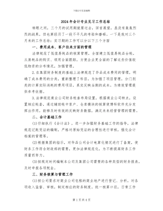 2024年会计专业见习工作总结