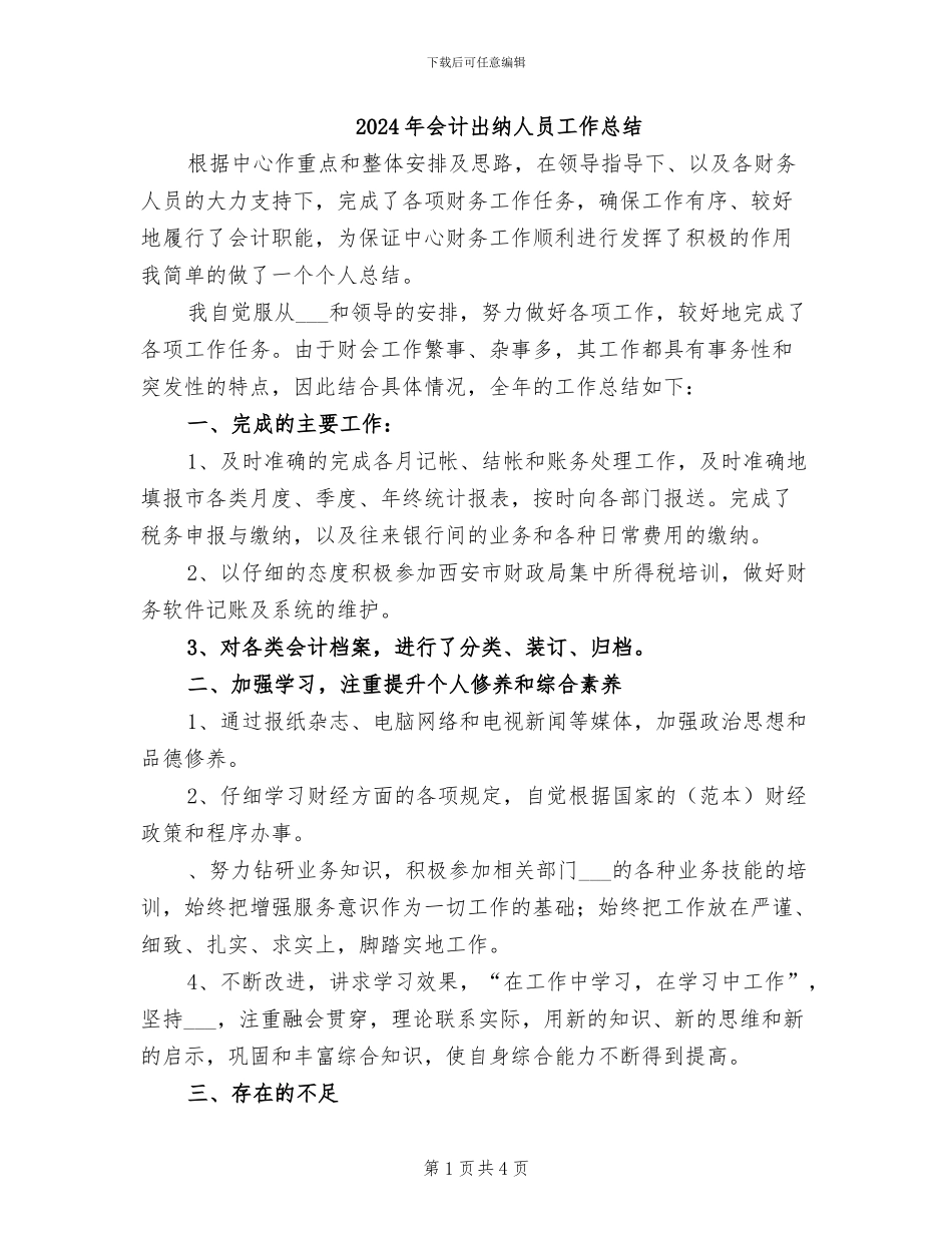 2024年会计出纳人员工作总结_第1页