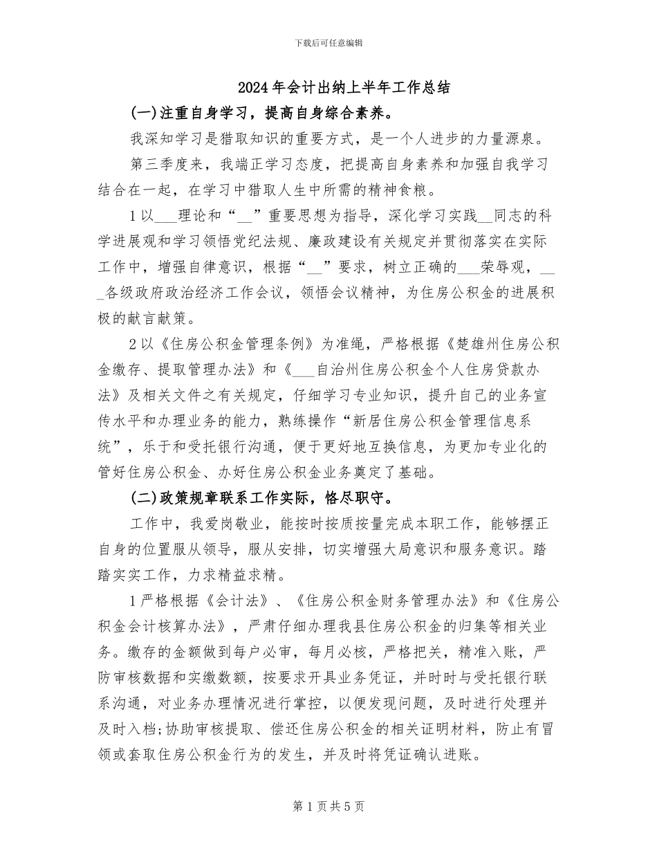 2024年会计出纳上半年工作总结_第1页