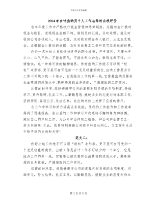 2024年会计出纳员个人工作总结的自我评价