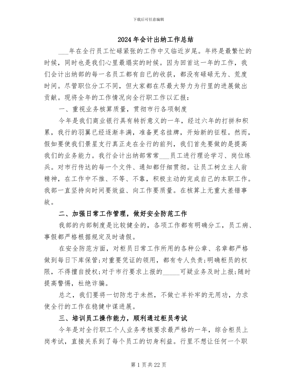 2024年会计出纳工作总结_第1页