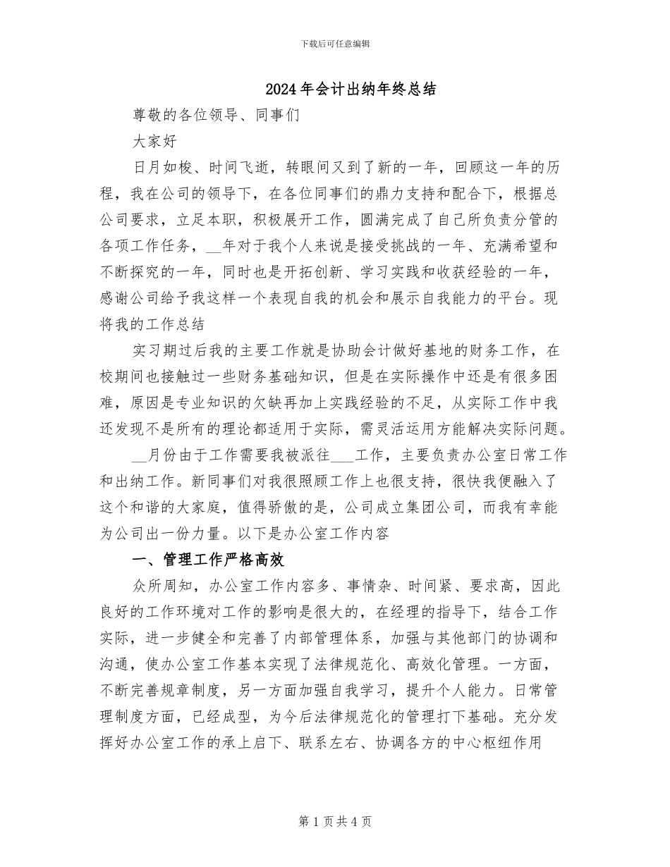 2024年会计出纳年终总结_第1页