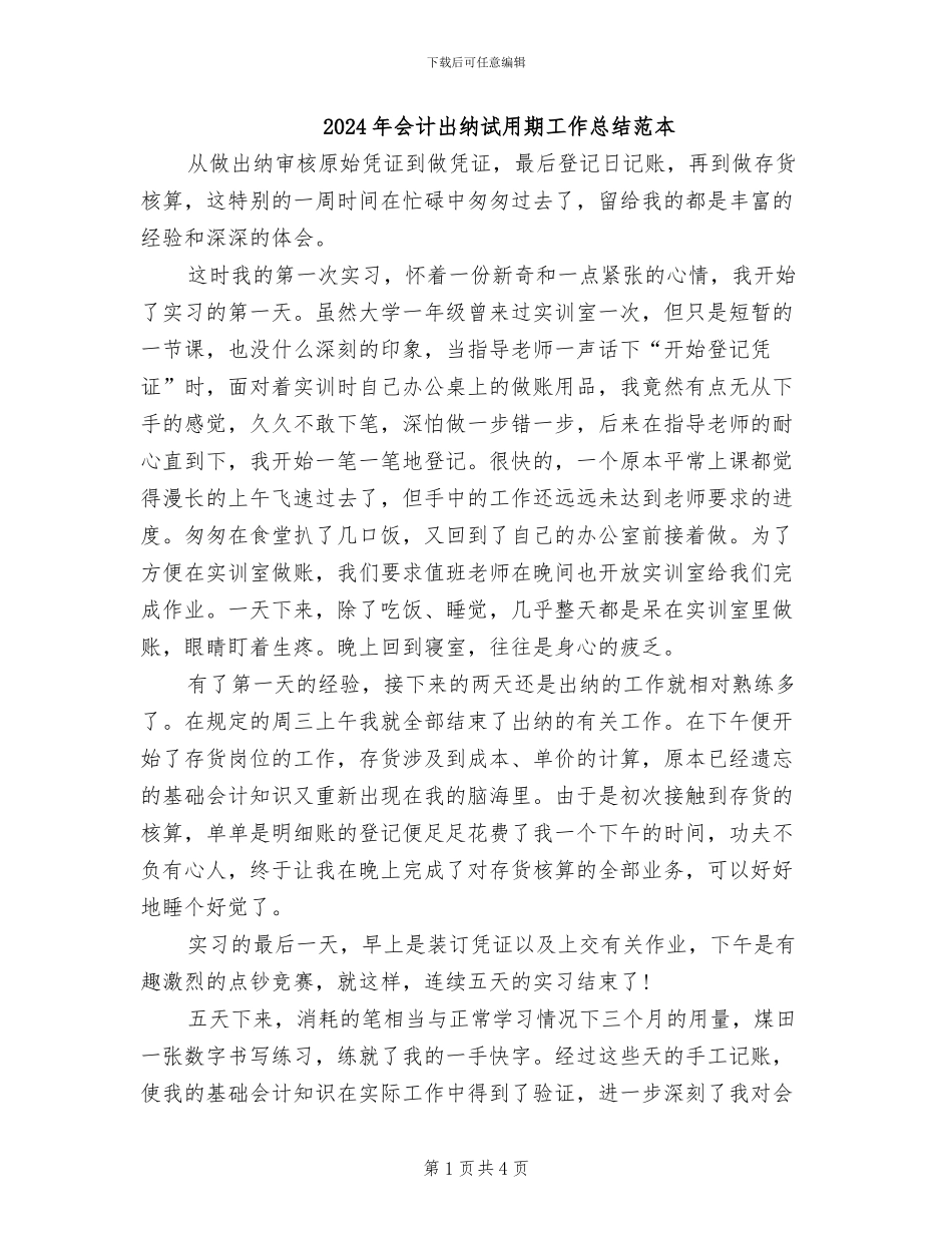 2024年会计出纳试用期工作总结范本_第1页