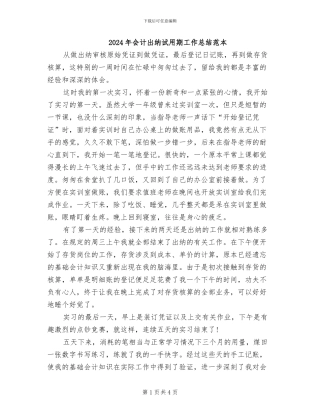 2024年会计出纳试用期工作总结范本