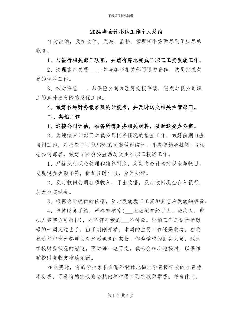 2024年会计出纳工作个人总结_第1页