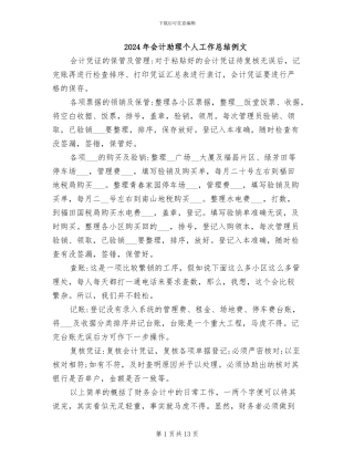 2024年会计助理个人工作总结例文