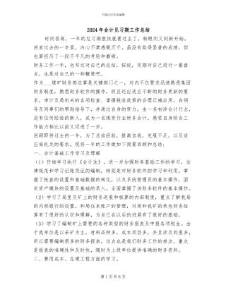 2024年会计见习期工作总结