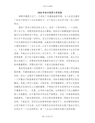 2024年会计试用工作总结