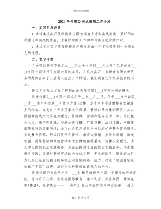 2024年传媒公司试用期工作小结