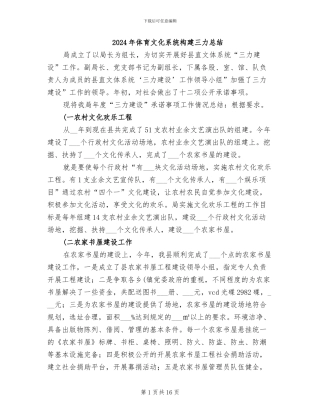 2024年体育文化系统构建三力总结