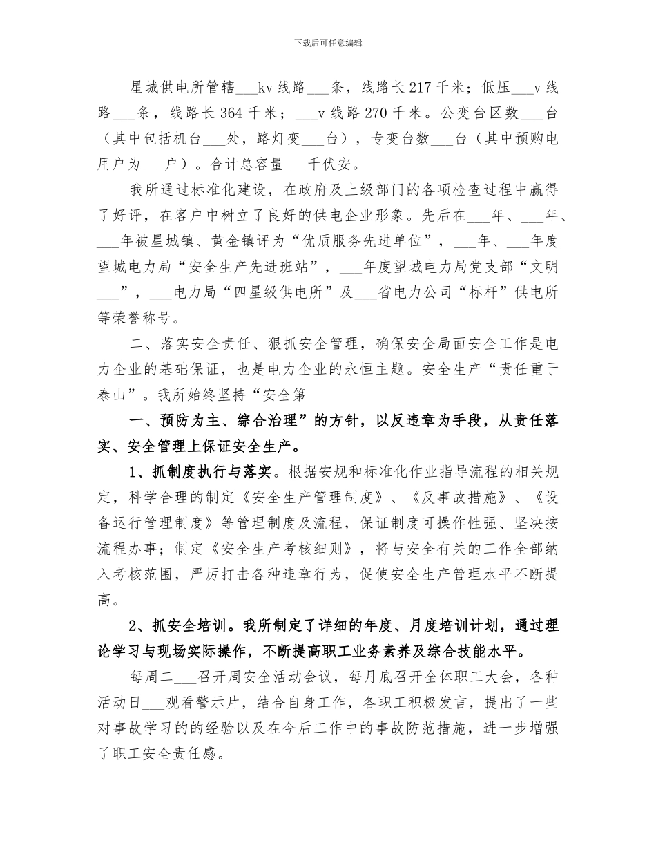 2024年供电所工作总结范本_第2页