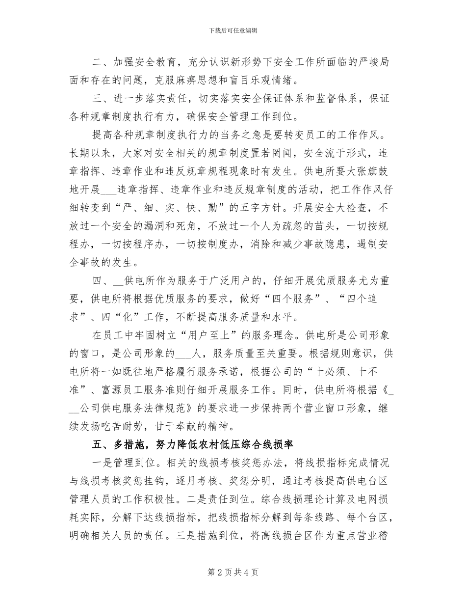 2024年供电所所长工作总结_第2页