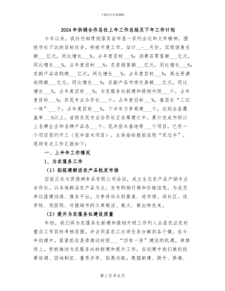 2024年供销合作总社上年工作总结及下年工作计划