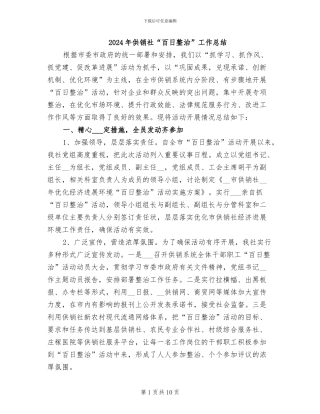 2024年供销社“百日整治”工作总结