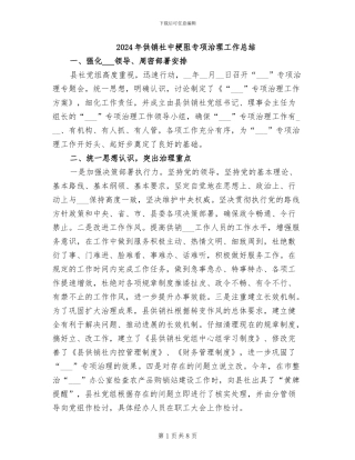2024年供销社中梗阻专项治理工作总结