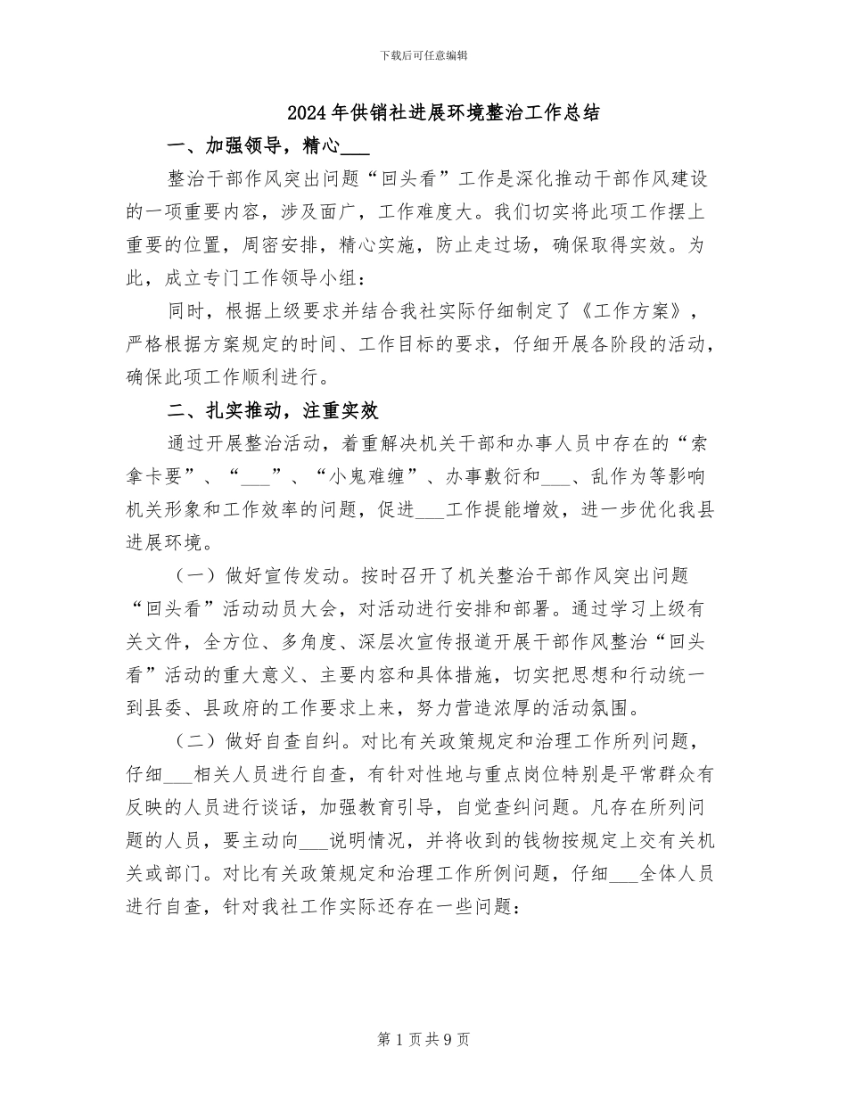 2024年供销社发展环境整治工作总结_第1页