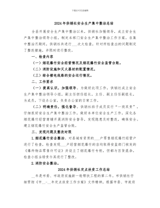2024年供销社安全生产集中整治总结