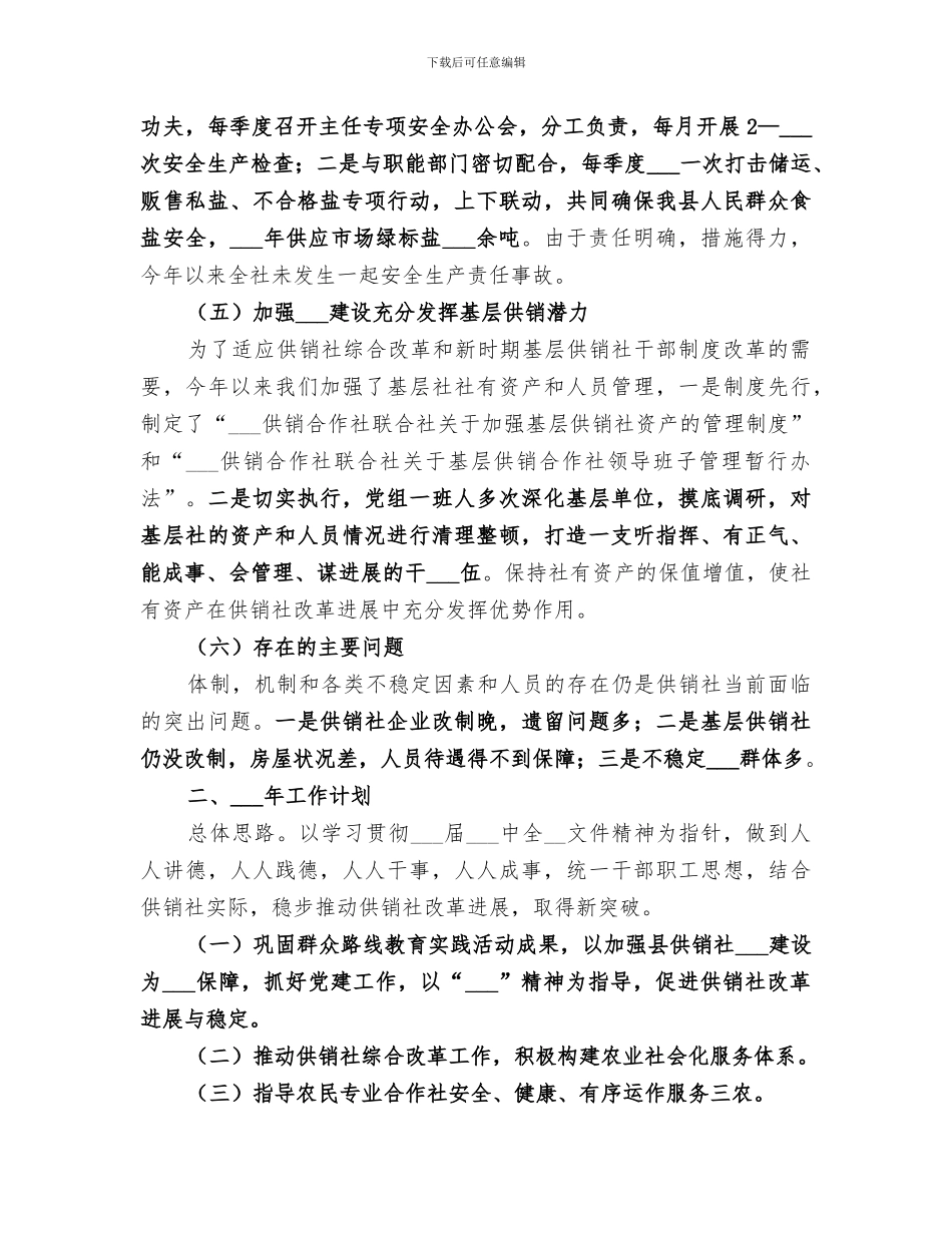 2024年供销社工作总结暨工作安排_第3页