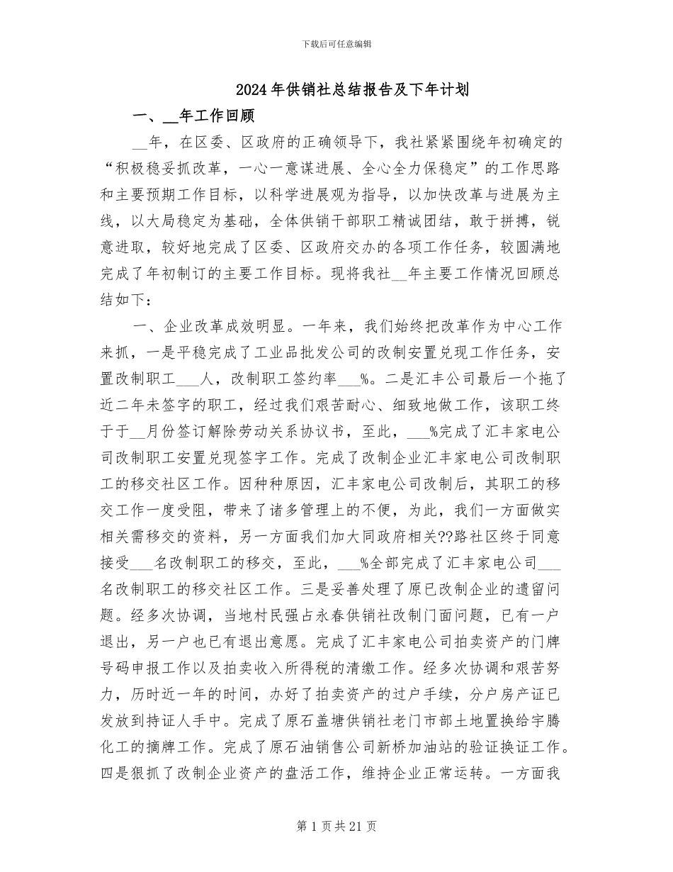 2024年供销社总结报告及下年计划_第1页