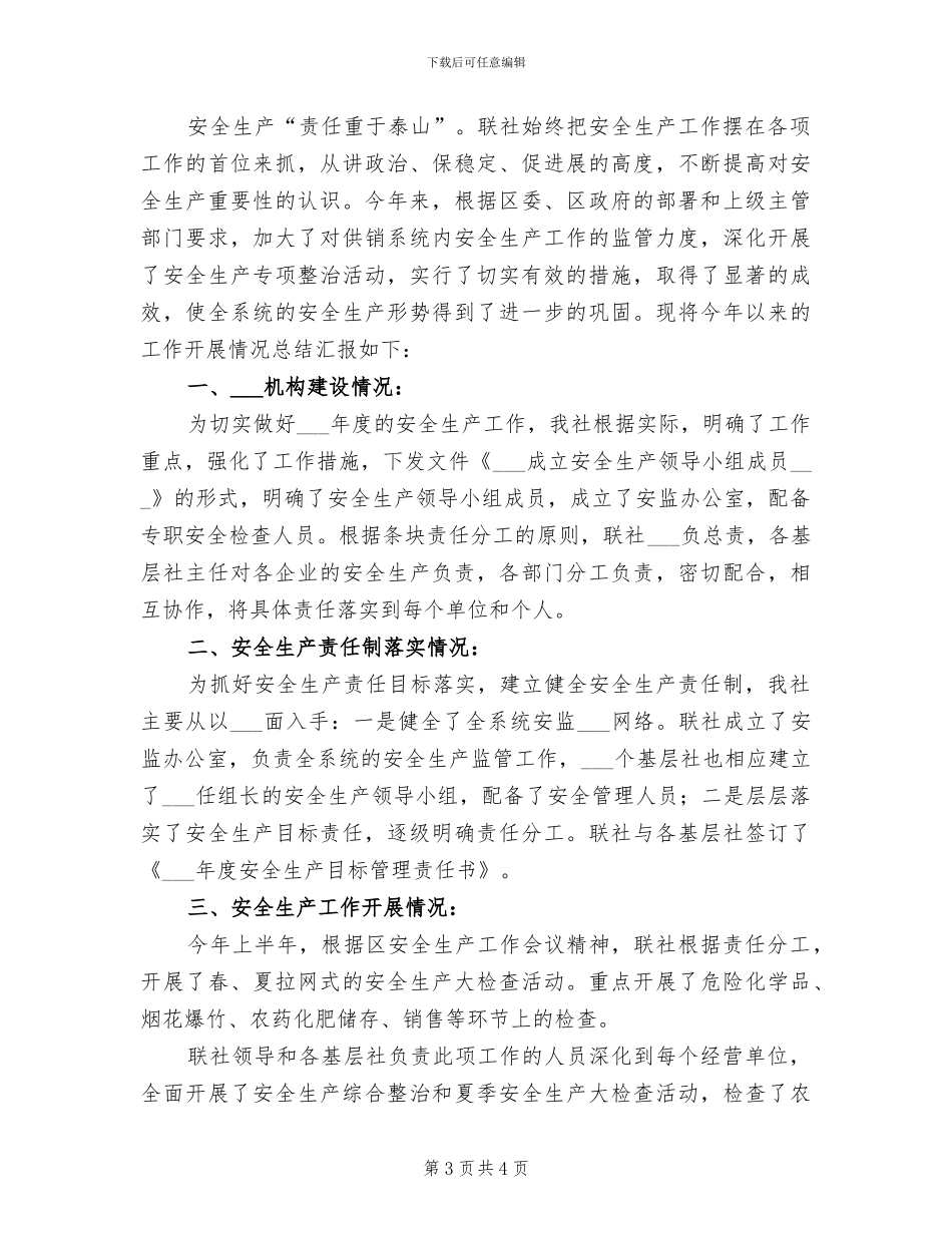 2024年供销社系统上半年安全生产工作总结_第3页