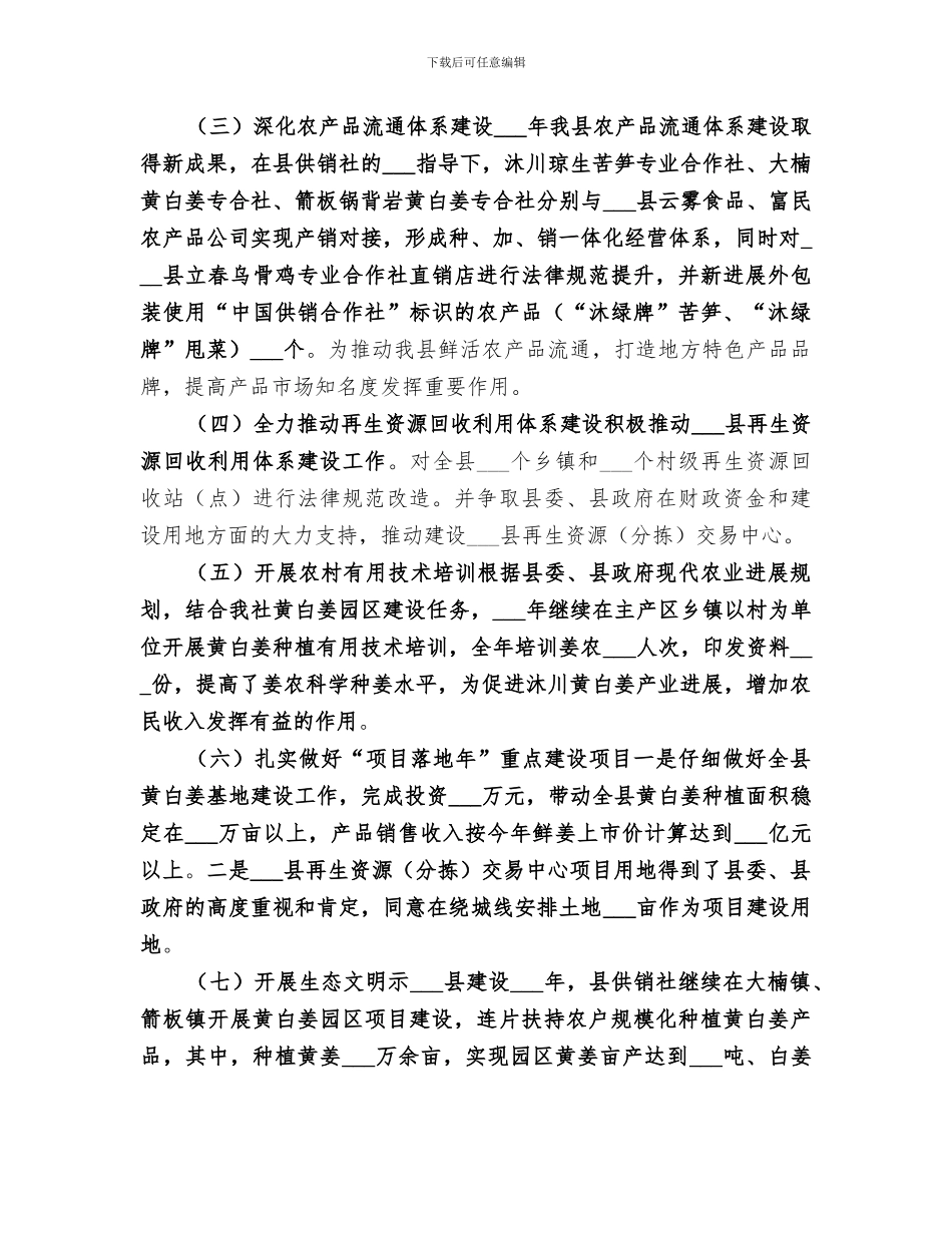 2024年供销社经济发展工作总结_第2页