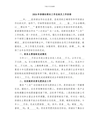 2024年供销社联社工作总结及工作安排
