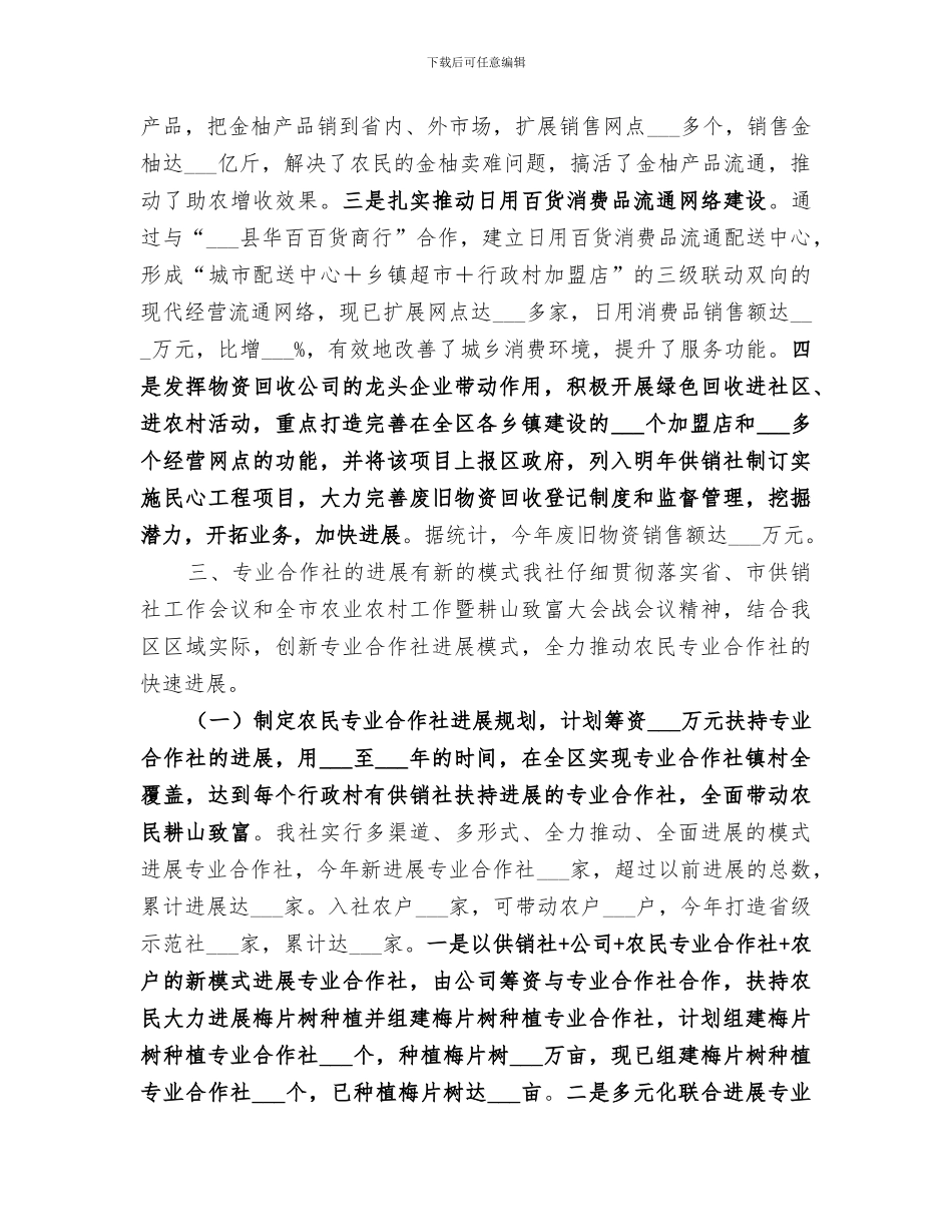 2024年供销联社年度经济工作总结_第2页
