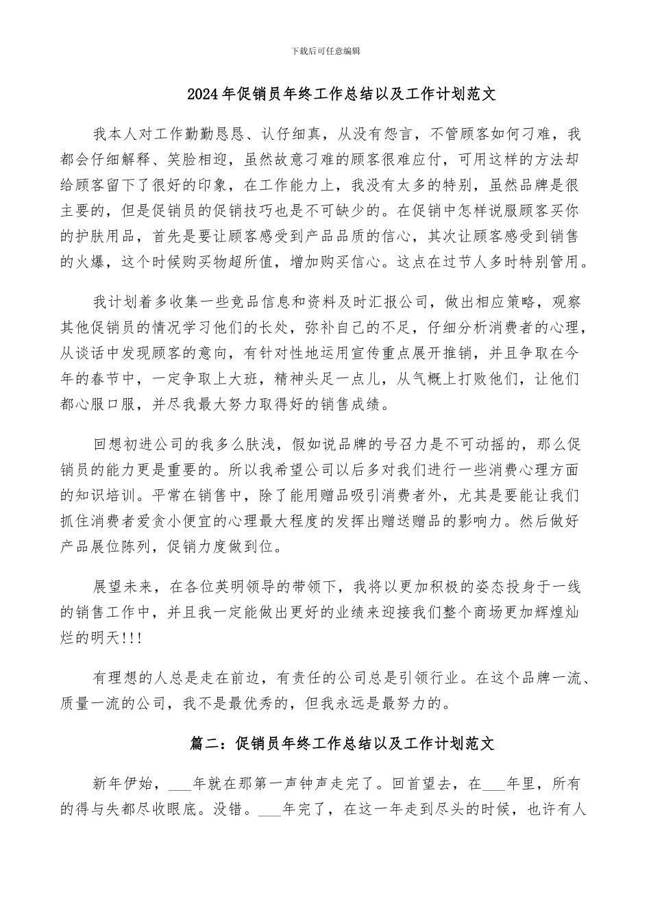 2024年促销员年终工作总结以及工作计划范文_第1页