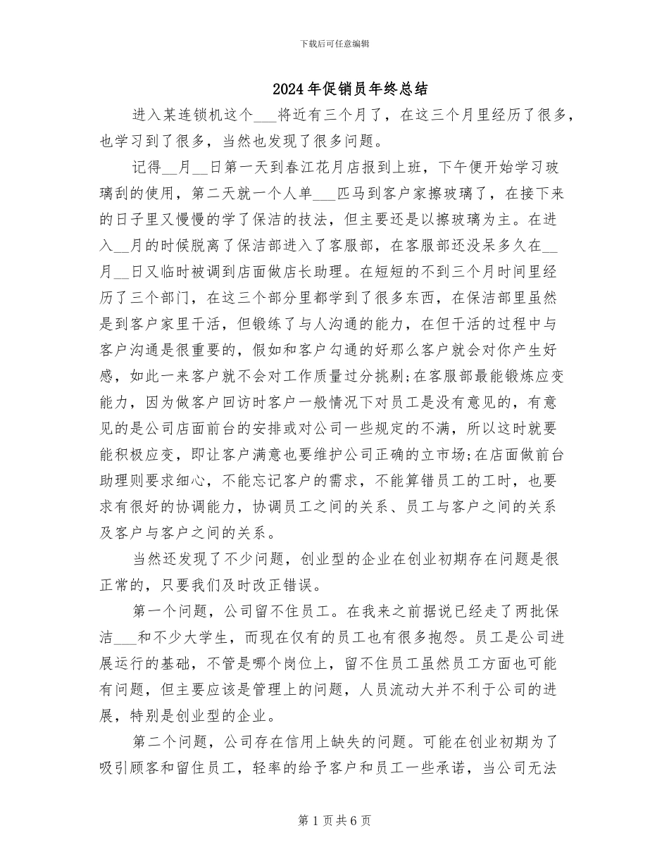 2024年促销员年终总结_第1页