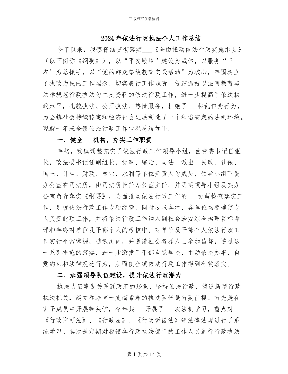 2024年依法行政执法个人工作总结_第1页