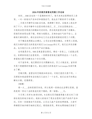 2024年促销员销售试用期工作总结