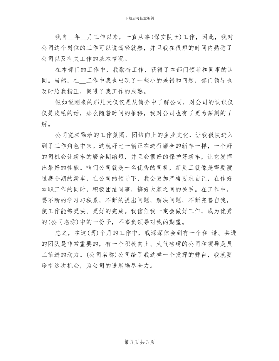 2024年保安队长试用期工作总结_第3页