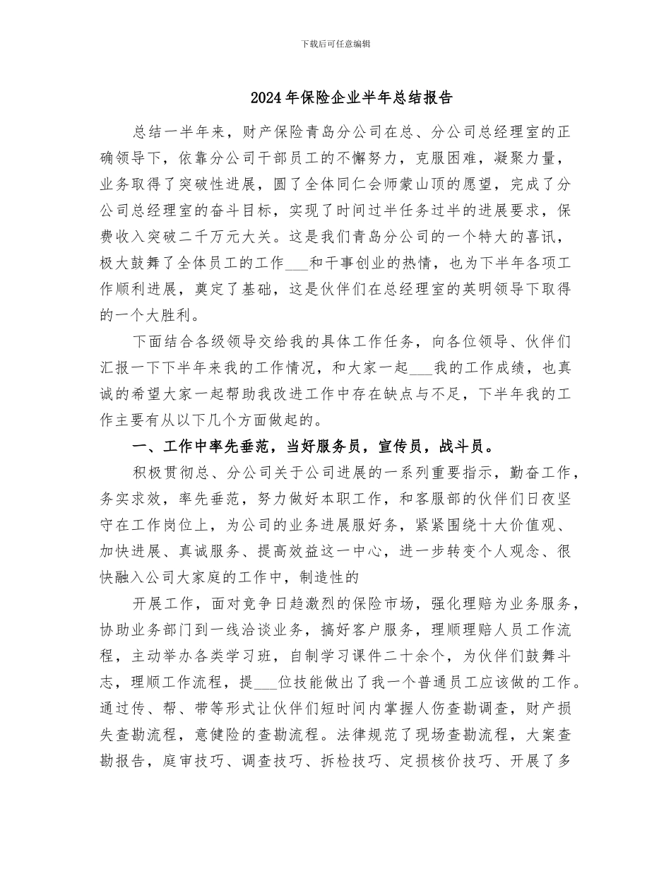 2024年保险企业半年总结报告_第1页